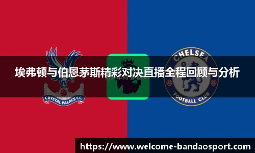 半岛体育网址