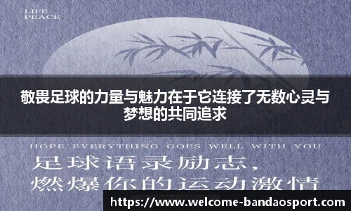 半岛体育官网
