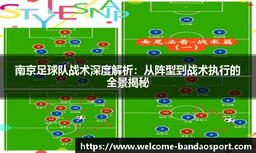 半岛体育APP